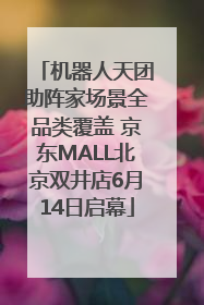 机器人天团助阵家场景全品类覆盖 京东MALL北京双井店6月14日启幕