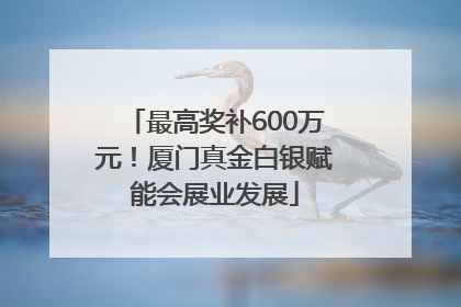 最高奖补600万元！厦门真金白银赋能会展业发展