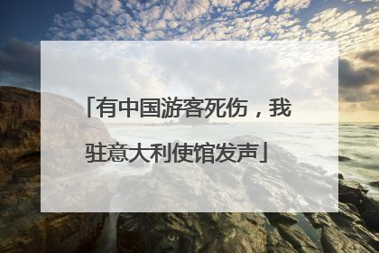 有中国游客死伤，我驻意大利使馆发声