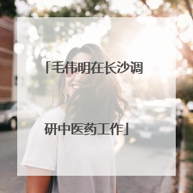 毛伟明在长沙调研中医药工作