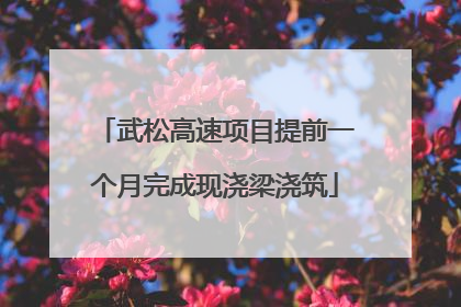 武松高速项目提前一个月完成现浇梁浇筑