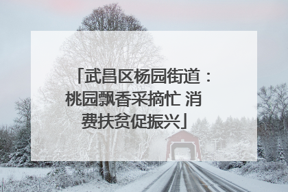 武昌区杨园街道：桃园飘香采摘忙 消费扶贫促振兴
