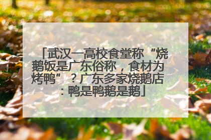 武汉一高校食堂称“烧鹅饭是广东俗称，食材为烤鸭”？广东多家烧鹅店：鸭是鸭鹅是鹅