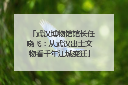 武汉博物馆馆长任晓飞：从武汉出土文物看千年江城变迁