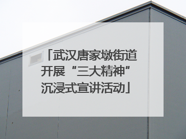 武汉唐家墩街道开展“三大精神”沉浸式宣讲活动