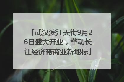 武汉滨江天街9月26日盛大开业，擎动长江经济带商业新地标