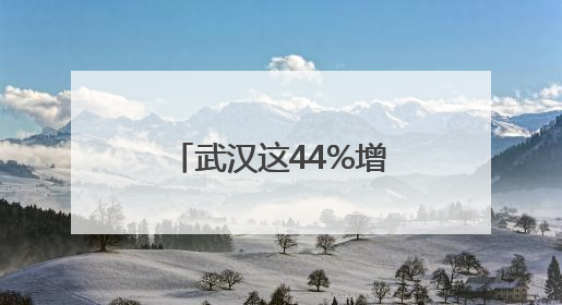 武汉这44%增长是怎么做到的