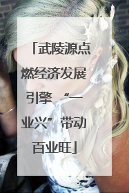 武陵源点燃经济发展引擎 “一业兴”带动百业旺