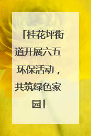 桂花坪街道开展六五环保活动，共筑绿色家园