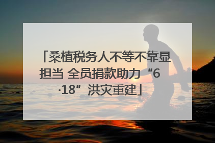 桑植税务人不等不靠显担当 全员捐款助力“6·18”洪灾重建