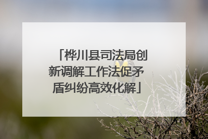 桦川县司法局创新调解工作法促矛盾纠纷高效化解