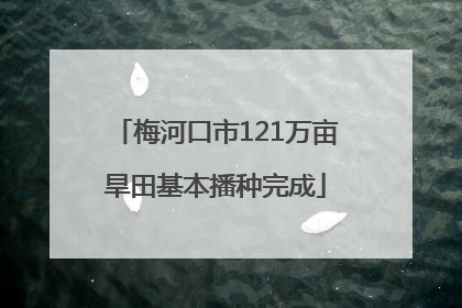 梅河口市121万亩旱田基本播种完成