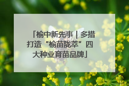 榆中新先事｜多措打造“榆苗陇萃”四大种业育苗品牌