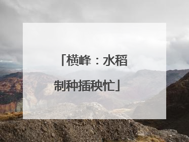 横峰：水稻制种插秧忙