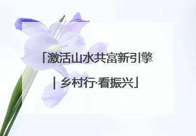 激活山水共富新引擎｜乡村行·看振兴