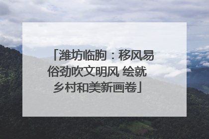 潍坊临朐：移风易俗劲吹文明风 绘就乡村和美新画卷