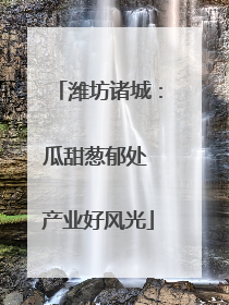 潍坊诸城：瓜甜葱郁处 产业好风光