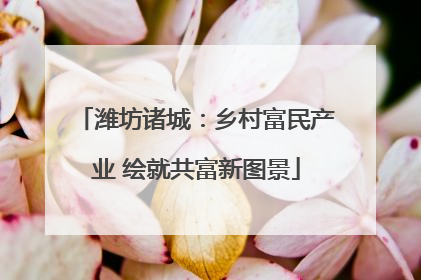 潍坊诸城：乡村富民产业 绘就共富新图景