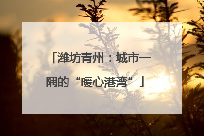 潍坊青州：城市一隅的“暖心港湾”