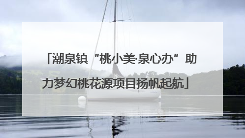 潮泉镇“桃小美·泉心办”助力梦幻桃花源项目扬帆起航