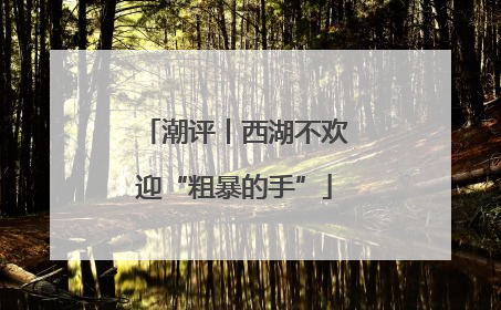 潮评丨西湖不欢迎“粗暴的手”