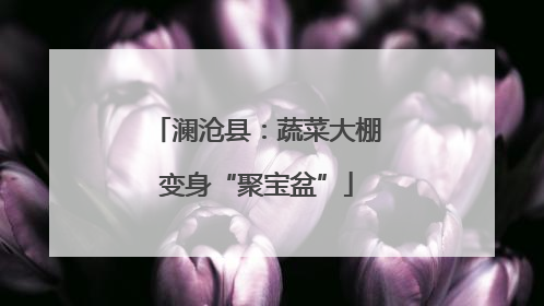 澜沧县：蔬菜大棚变身“聚宝盆”