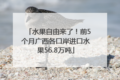 水果自由来了！前5个月广西各口岸进口水果56.8万吨