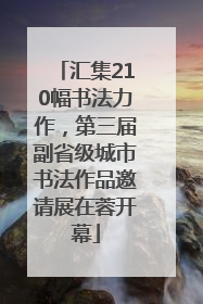 汇集210幅书法力作，第三届副省级城市书法作品邀请展在蓉开幕