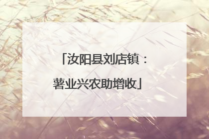 汝阳县刘店镇：薯业兴农助增收