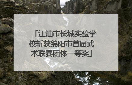 江油市长城实验学校斩获绵阳市首届武术联赛团体一等奖
