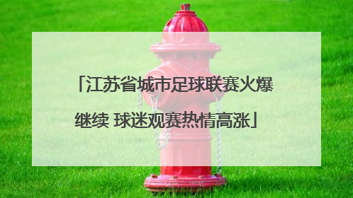 江苏省城市足球联赛火爆继续 球迷观赛热情高涨
