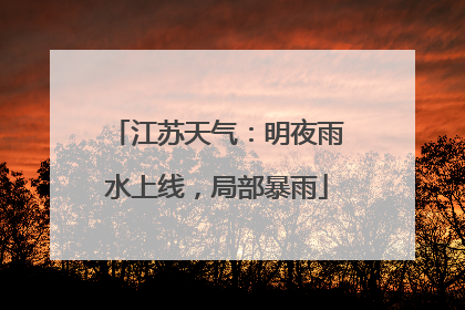 江苏天气：明夜雨水上线，局部暴雨