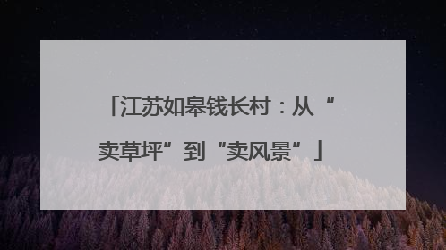 江苏如皋钱长村：从“卖草坪”到“卖风景”