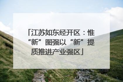 江苏如东经开区：惟“新”图强以“新”提质推进产业强区
