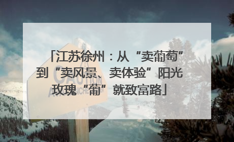 江苏徐州：从“卖葡萄”到“卖风景、卖体验”阳光玫瑰“葡”就致富路