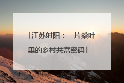 江苏射阳：一片桑叶里的乡村共富密码