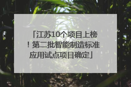 江苏10个项目上榜！第二批智能制造标准应用试点项目确定