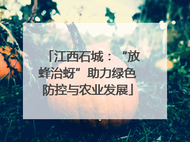 江西石城：“放蜂治蚜”助力绿色防控与农业发展