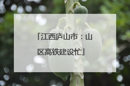 江西庐山市：山区高铁建设忙