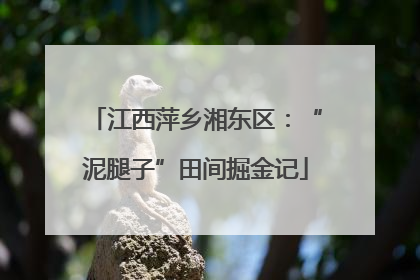 江西萍乡湘东区：“泥腿子”田间掘金记