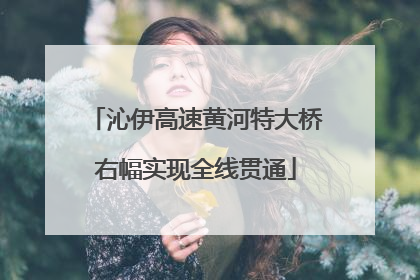沁伊高速黄河特大桥右幅实现全线贯通