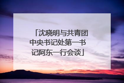 沈晓明与共青团中央书记处第一书记阿东一行会谈