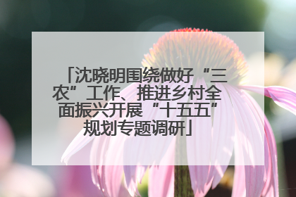 沈晓明围绕做好“三农”工作、推进乡村全面振兴开展“十五五”规划专题调研