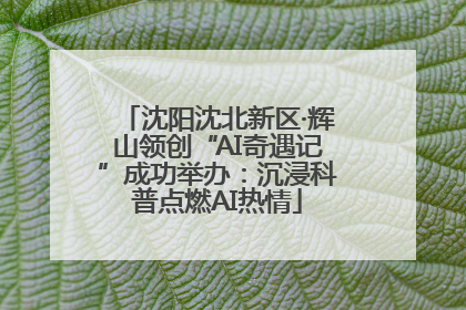沈阳沈北新区·辉山领创“AI奇遇记”成功举办：沉浸科普点燃AI热情