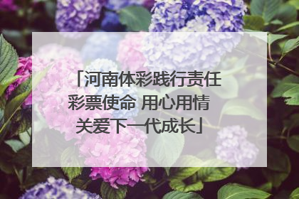 河南体彩践行责任彩票使命 用心用情关爱下一代成长