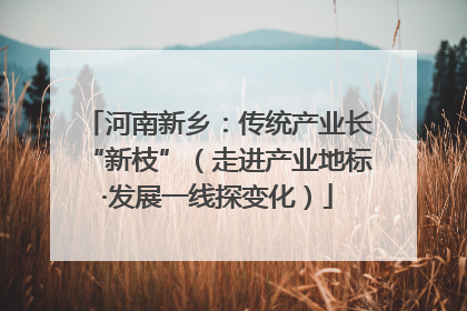 河南新乡：传统产业长“新枝”（走进产业地标·发展一线探变化）