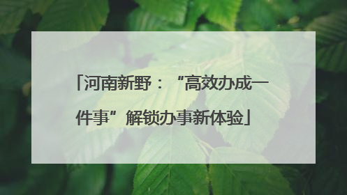 河南新野：“高效办成一件事”解锁办事新体验