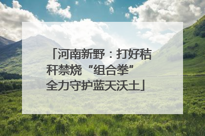 河南新野：打好秸秆禁烧“组合拳” 全力守护蓝天沃土