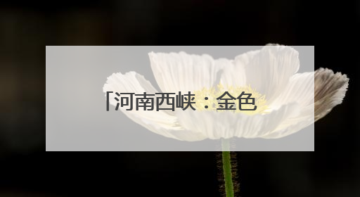 河南西峡：金色麦浪迎丰收 多措并举保“三夏”