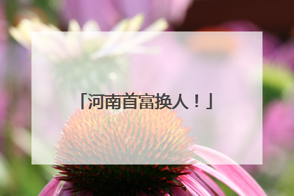河南首富换人！